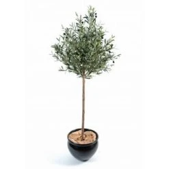 Castorama Olivier Tronc Artificiel H.150 Cm