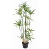 Castorama Papyrus Alternifolius Artificiel H.125 Cm -Castorama-Shop papyrus alternifolius artificiel h 125 cm3700543516286 01c FR CF
