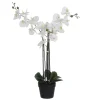 Castorama Phalaenopsis Artificiel En Pot Plastique Blanc 75 X 51x H.79 Cm -Castorama-Shop phalaenopsis artificiel en pot plastique blanc 75 x 51x h 79 cm8718861420265 01c FR CF