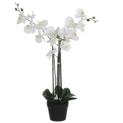 Castorama Phalaenopsis Artificiel En Pot Plastique Blanc 75 X 51x H.79 Cm