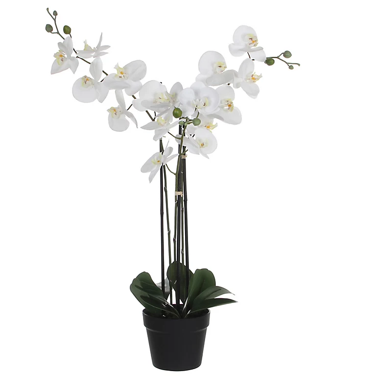 Castorama Phalaenopsis Artificiel En Pot Plastique Blanc 75 X 51x H.79 Cm 3 Castorama Phalaenopsis Artificiel En Pot Plastique Blanc 75 X 51x H.79 Cm