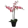Castorama Phalaenopsis Artificiel En Pot Plastique Rose 75 X 51x H.79 Cm -Castorama-Shop phalaenopsis artificiel en pot plastique rose 75 x 51x h 79 cm8718861388145 01c FR CF