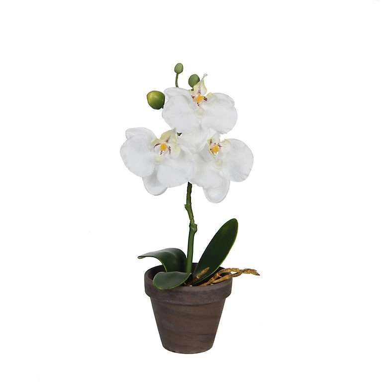 Castorama Phalaenopsis Blanc Artificiel ø12 X H.26 Cm En Pot Stan Gris ø9 Cm 3 Castorama Phalaenopsis Blanc Artificiel ø12 X H.26 Cm En Pot Stan Gris ø9 Cm
