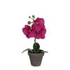 Castorama Phalaenopsis Violet Artificiel ø12 X H.26 Cm En Pot Stan Gris ø9 Cm 2 Castorama Phalaenopsis Violet Artificiel ø12 X H.26 Cm En Pot Stan Gris ø9 Cm -Castorama-Shop phalaenopsis violet artificiel 12 x h 26 cm en pot stan gris 9 cm8712799352896 01c FR CF