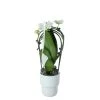 Castorama Phalenopsis Pot Cascade 9 Cm -Castorama-Shop phalenopsis pot cascade 9 cm5059340138404 02c