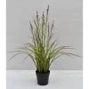 Castorama Pot Acorus Fleuri Artificiel -Castorama-Shop pot acorus fleuri artificiel3700543507291 01c FR CF