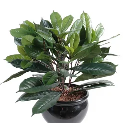 Castorama Pot Cyathistipula Artificiel