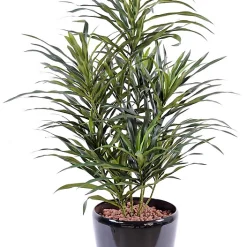 Castorama Pot Dracaena Anita Artificiel