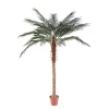 Castorama Pot Phoenix Palm H.210 Cm -Castorama-Shop pot phoenix palm h 210 cm3700543516453 01c FR CF