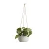 Castorama Pothos Tacheté, Pot En Céramique Suspendu, 13cm