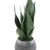 Castorama Sansevieria Verte Artificielle H.49 Cm -Castorama-Shop sansevieria verte artificielle h 49 cm3700543503187 01c FR CF