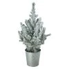 Castorama Sapin Avec Pot En Zinc 13 Cm -Castorama-Shop sapin avec pot en zinc 13 cm5059340138442 02c