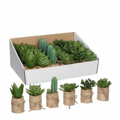 Castorama Succulente Artificiel En Pot Vert 6 Assorti ø5 X H.12 Cm