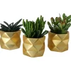 Castorama Succulentes Avec Pot En Céramique 9 Cm -Castorama-Shop succulentes avec pot en ceramique 9 cm5059340138350 02c