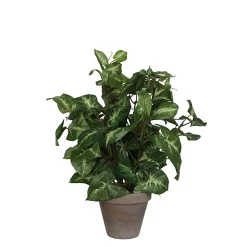 Castorama Syngonium Vert Artificiel ø25 X H.35 Cm En Pot Stan Gris ø11,5 Cm