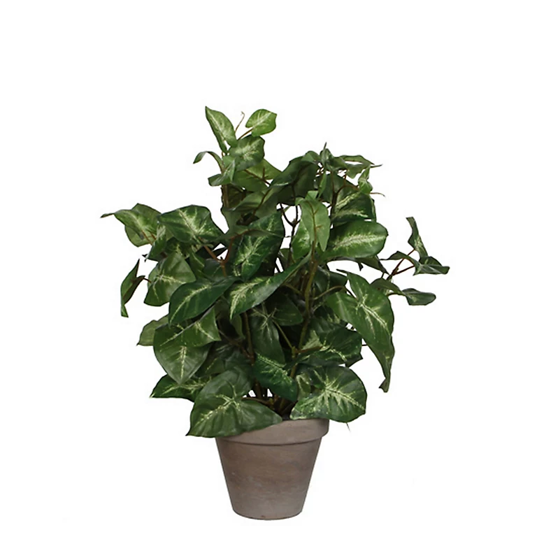 Castorama Syngonium Vert Artificiel ø25 X H.35 Cm En Pot Stan Gris ø11,5 Cm 3 Castorama Syngonium Vert Artificiel ø25 X H.35 Cm En Pot Stan Gris ø11,5 Cm