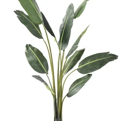 Castorama Travellers Palm Tree Artificiel H.195 Cm