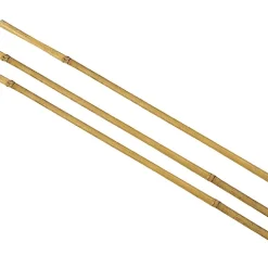 Castorama Tuteur Pour Plante En Bambou H.150 Cm (lot De 3)