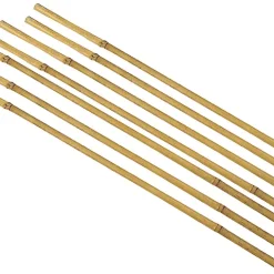 Castorama Tuteur Pour Plante En Bambou H.60 Cm (lot De 7)