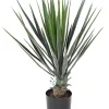 Castorama Yucca Rostrata Artificiel H.60 Cm -Castorama-Shop yucca rostrata artificiel h 60 cm3700543510567 01c FR CF